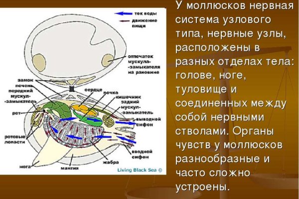 Браузер для кракен