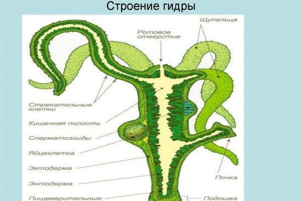 Блэкспрут зеркало кракен